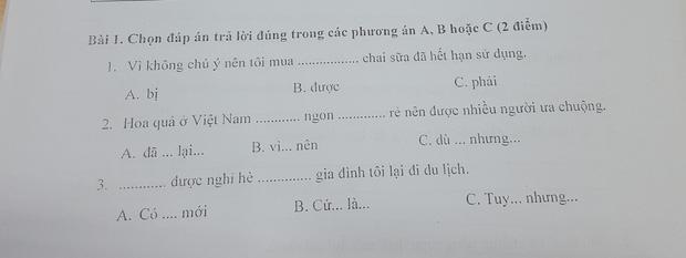Đề thi năng lực tiếng Việt dành cho người Nhật, đọc xong chỉ muốn lú-1