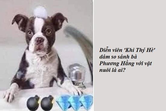 Diễn viên 'Khỉ Thý Hè' dám so sánh bà Phương Hằng với vật nuôi là ai?