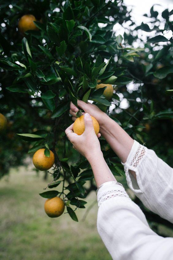 Tử vi 12 cung hoàng đạo thứ Bảy ngày 12/6/2021: Nhân Mã độc thân biết cách quyến rũ.-3