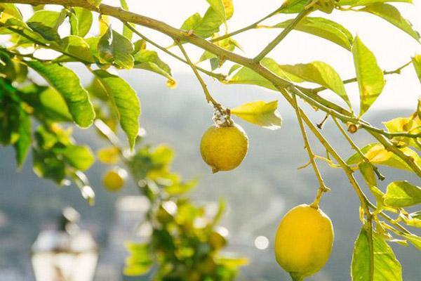 Chuyện 12 cung Hoàng đạo: Xử Nữ hay xét nét nhưng lại nổi đóa khi bị phán xét, dạy đời-2