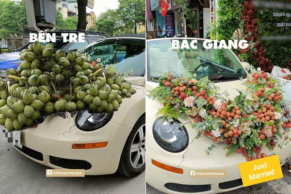 Mận đặc sản đắt ngang nho Mỹ, cứ về đến Hà Nội là hết hàng-1