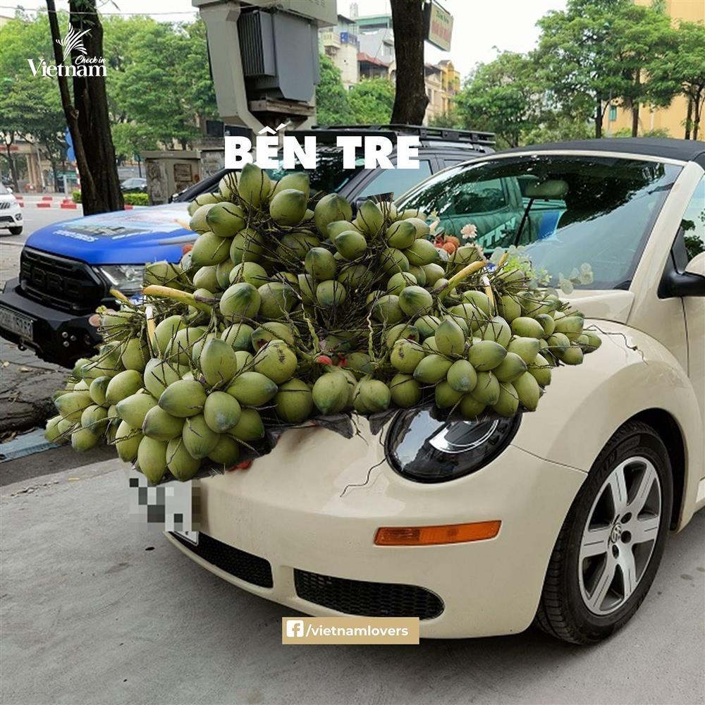 Sau hoa cưới vải thiều, dân mạng chế loạt xe dâu toàn đặc sản quê hương-2