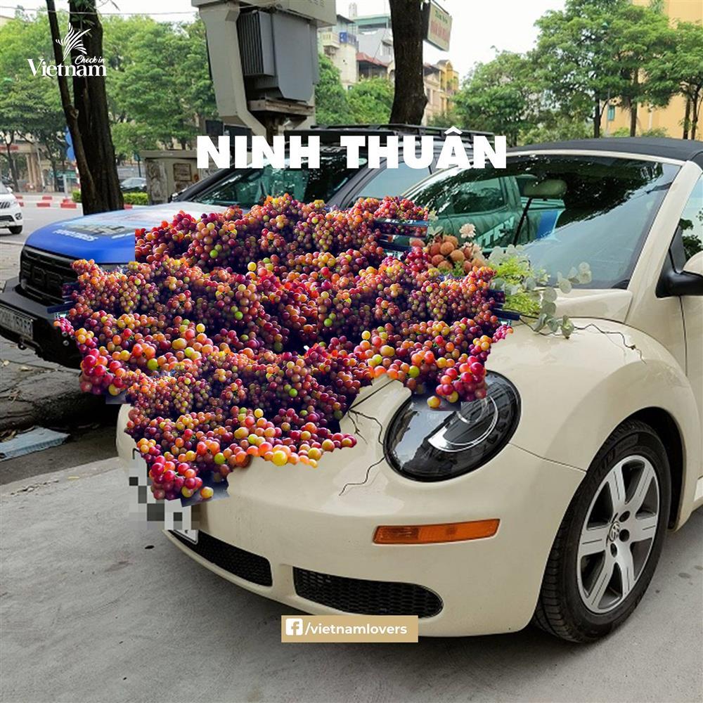 Sau hoa cưới vải thiều, dân mạng chế loạt xe dâu toàn đặc sản quê hương-6