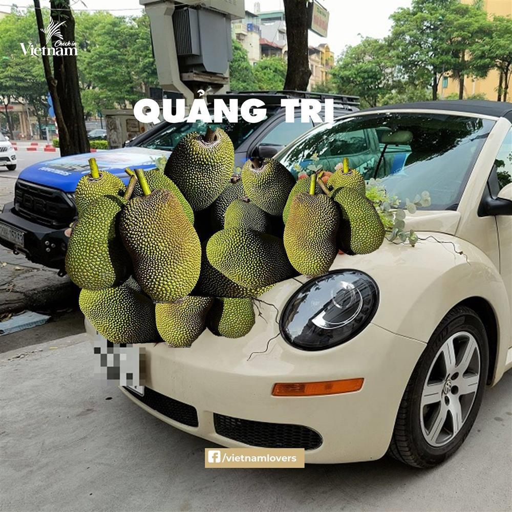 Sau hoa cưới vải thiều, dân mạng chế loạt xe dâu toàn đặc sản quê hương-8