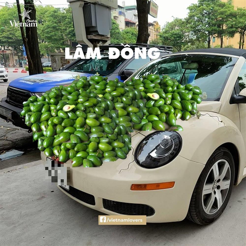 Sau hoa cưới vải thiều, dân mạng chế loạt xe dâu toàn đặc sản quê hương-9