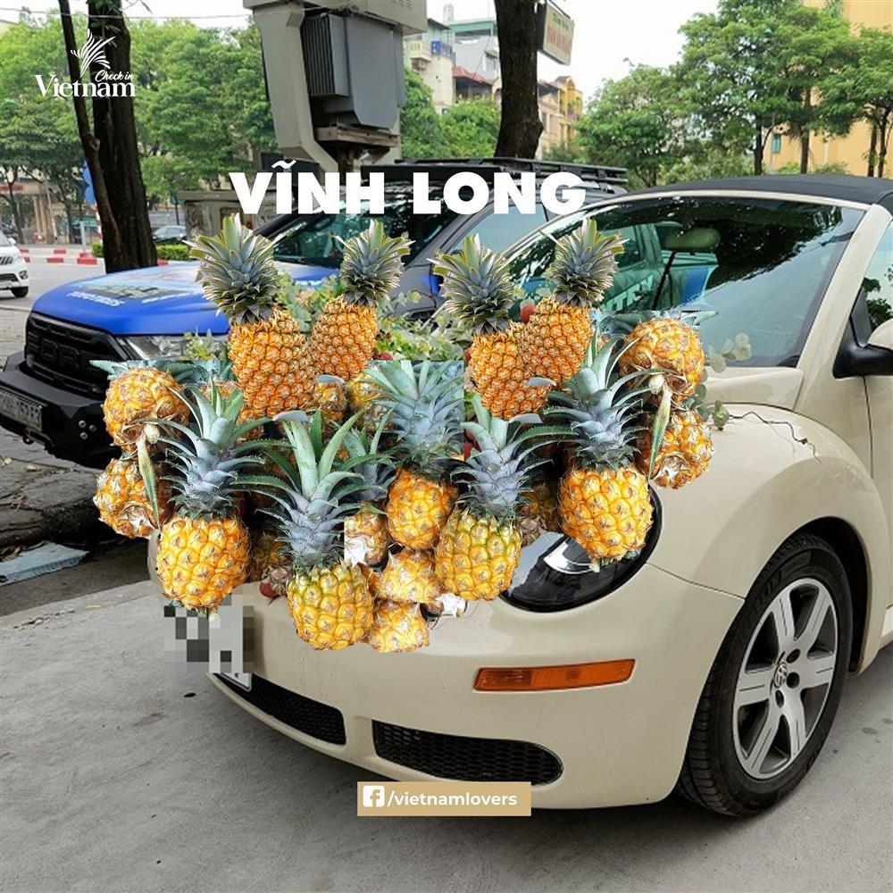 Sau hoa cưới vải thiều, dân mạng chế loạt xe dâu toàn đặc sản quê hương-11