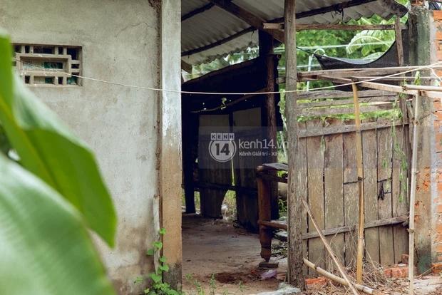 Đau lòng khi thấy nhà Hồ Văn Cường bị bỏ hoang, hàng xóm kể lâu rồi không ai về thăm-10