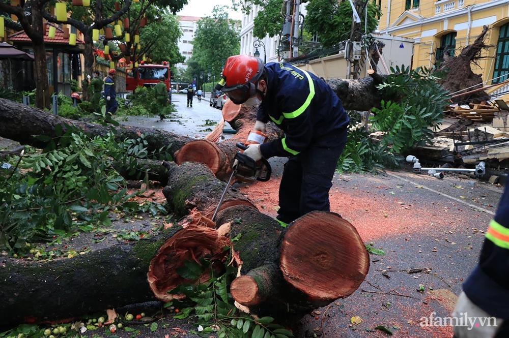 Hà Nội: Cây cổ thụ hàng chục năm tuổi bất ngờ bật gốc sau trận gió lớn, đè sập tường Tòa án nhân dân tối cao-3