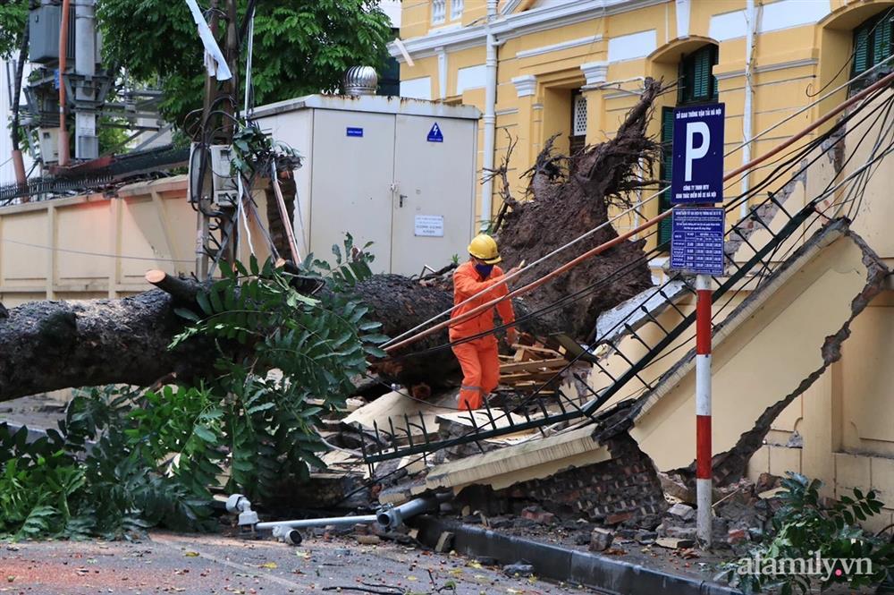 Hà Nội: Cây cổ thụ hàng chục năm tuổi bất ngờ bật gốc sau trận gió lớn, đè sập tường Tòa án nhân dân tối cao-9