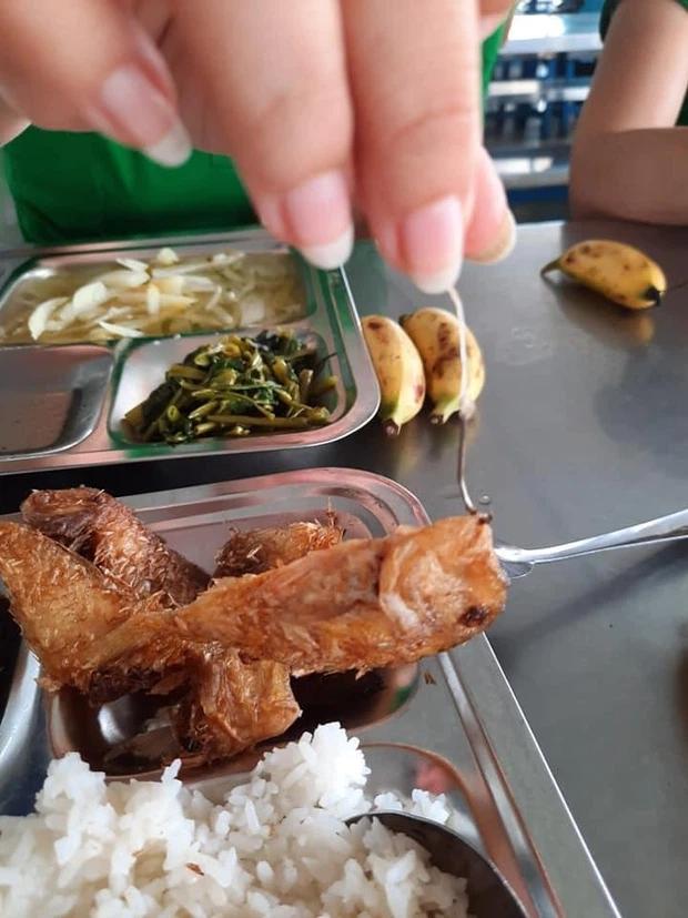 Đi ăn cơm hàng, cô nàng rùng mình khi tìm thấy lưỡi câu từ miệng con cá-1