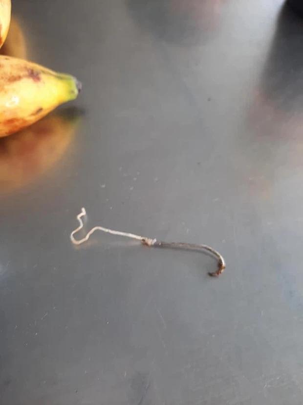 Đi ăn cơm hàng, cô nàng rùng mình khi tìm thấy lưỡi câu từ miệng con cá-2