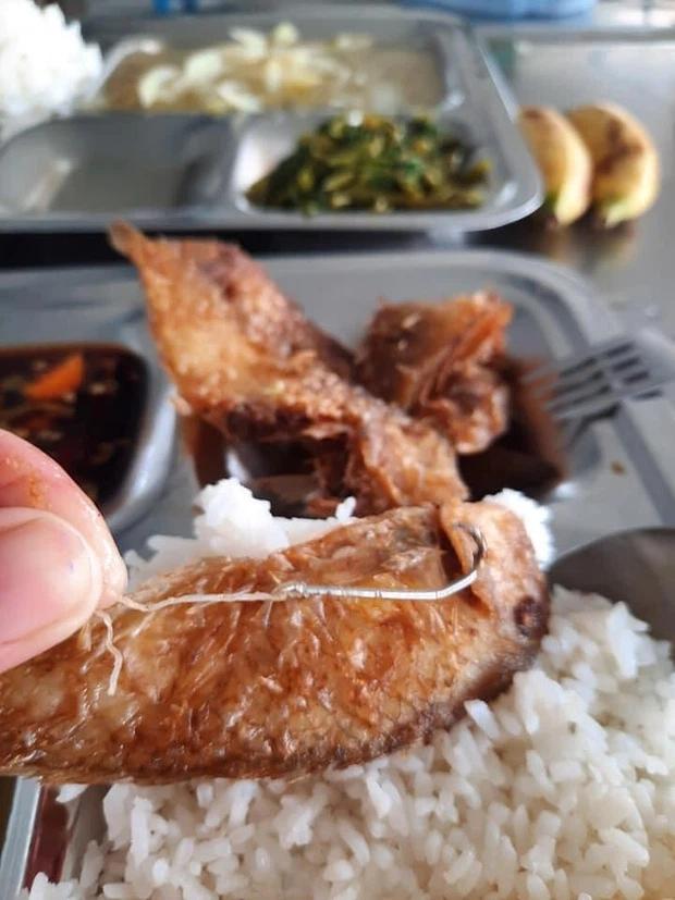 Đi ăn cơm hàng, cô nàng rùng mình khi tìm thấy lưỡi câu từ miệng con cá-3