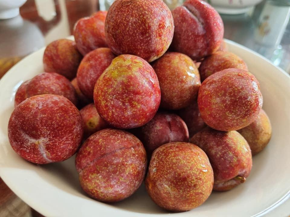 Mận đang cuối mùa, tranh thủ học công thức làm sốt mận ăn kèm gì cũng ngon-2