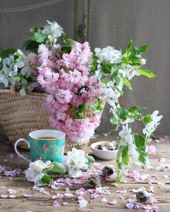 Tử vi 12 cung hoàng đạo thứ Ba ngày 15/6/2021: Bảo Bình tốn nhiều sức lực và trí não-1