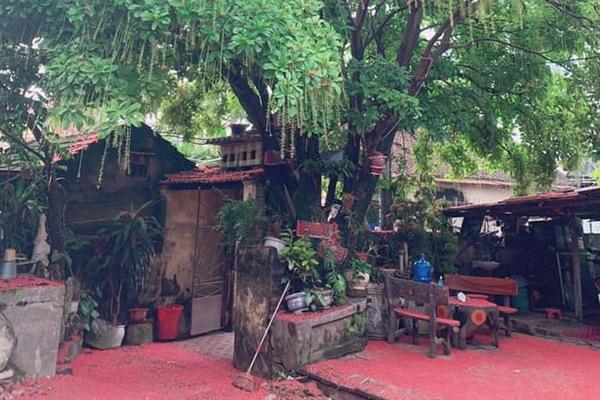 10 sự thật thú vị về UAE-11