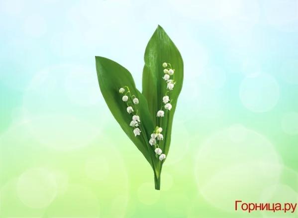 Chọn một bông hoa soi độ dễ thương của bạn ở mức nào?-3