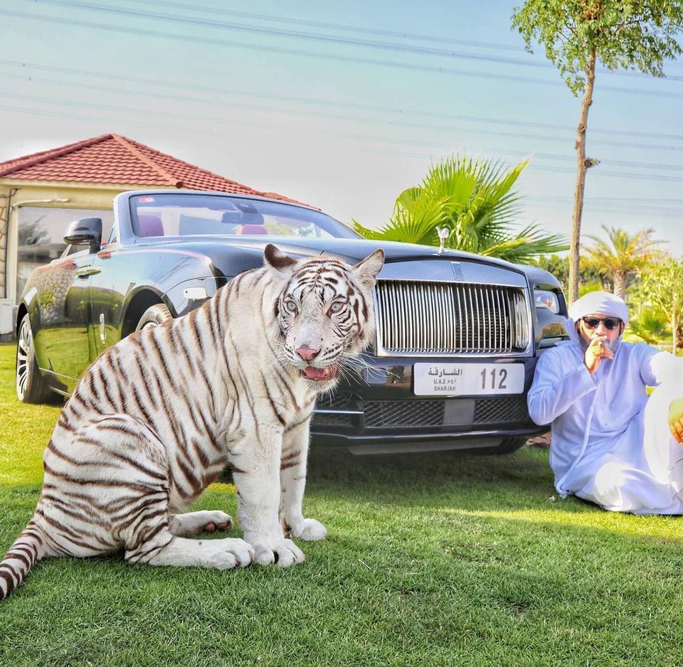 10 sự thật thú vị về UAE-10