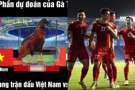 'Gà tiên tri' dự đoán kết quả Việt Nam - UAE: Lo lắng nhưng sẽ thắng!