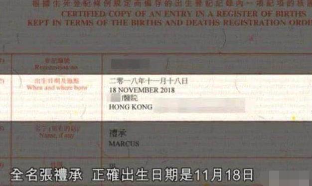 Trương Bá Chi thắng kiện những kẻ tiết lộ giấy khai sinh của con trai-3