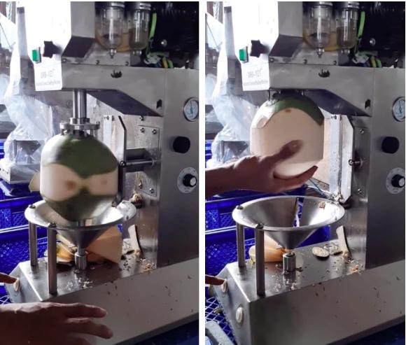 Không chặt dừa bằng tay như Việt Nam, nước bạn sử dụng cỗ máy giải quyết vấn đề trong chớp mắt-1