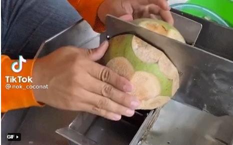 Không chặt dừa bằng tay như Việt Nam, nước bạn sử dụng cỗ máy giải quyết vấn đề trong chớp mắt-5