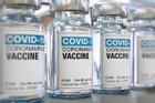 Việt Nam gia công 5 triệu liều vaccine Sputnik V một tháng