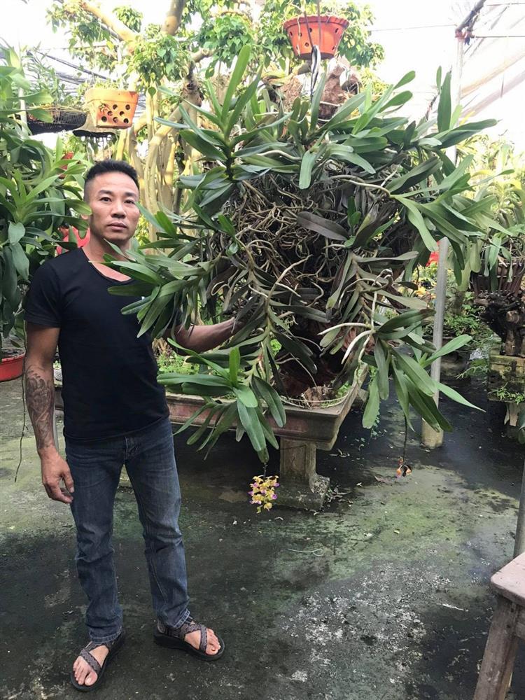 Mối duyên gần 10 năm của ông chủ vườn 8x với hoa lan-1