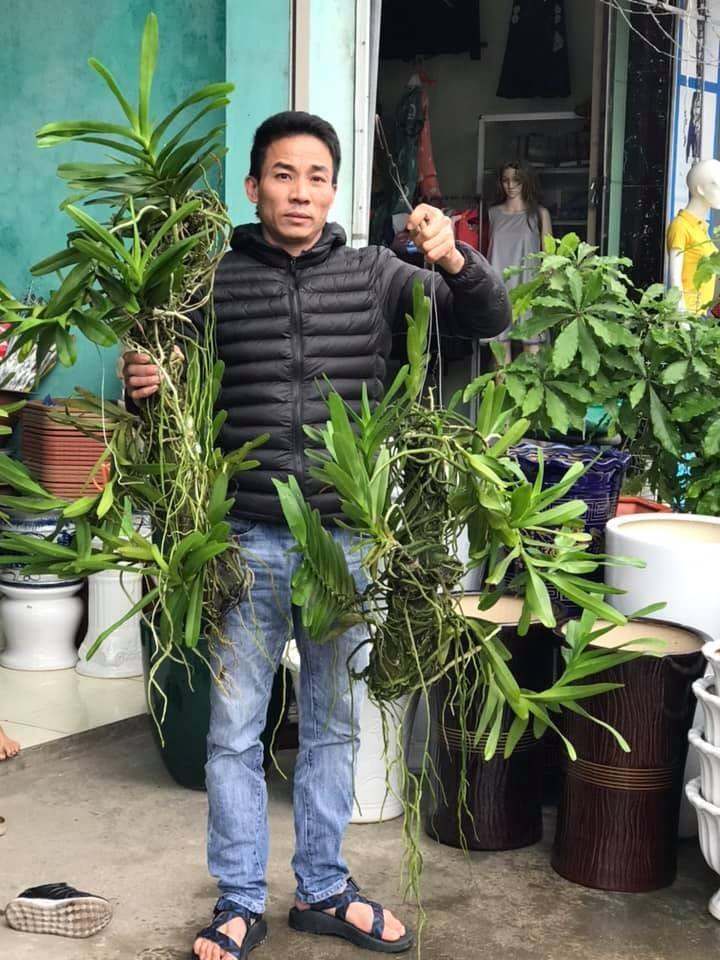 Mối duyên gần 10 năm của ông chủ vườn 8x với hoa lan-4