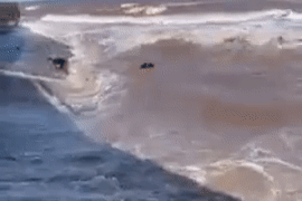 Clip: Thót tim nhìn thanh niên bị sóng dữ cuốn chới với giữa biển ở Nam Định-1