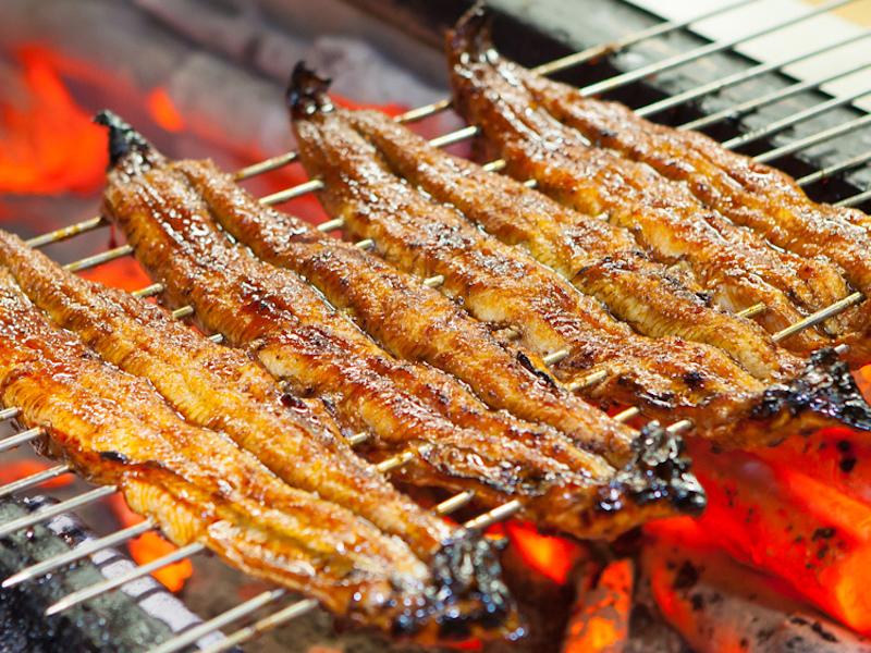 Vì sao lươn Nhật đắt như vàng? 8 năm học mổ, 3 năm học xâu, cả đời học nướng!-3