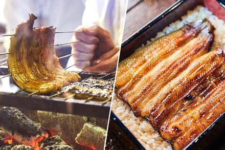 Vì sao lươn Nhật đắt như vàng? 8 năm học mổ, 3 năm học xâu, cả đời học nướng!