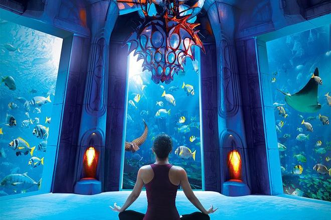 5 khách sạn hạng sang nằm dưới mặt nước biển-2