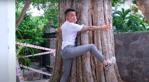 Đại gia Minh Nhựa khoe mua cả căn biệt thự chỉ vì khoái cái cây trong nhà-5