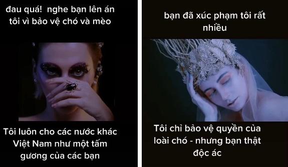 Lên án chuyện ăn thịt chó ở Việt Nam, cô gái bị công kích đến mức phải bỏ về nước?-2