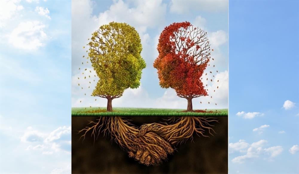 Hình ảnh nhìn thấy đầu tiên bắt mạch chính xác khi yêu, bạn sợ nhất điều gì?-1