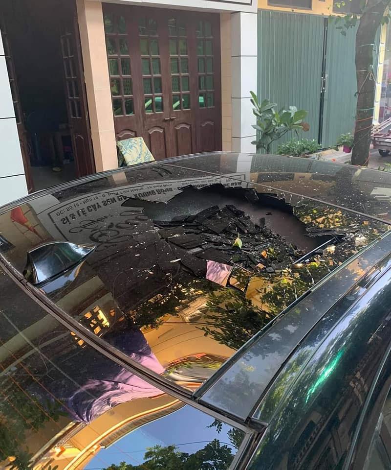 Tài xế đỗ xe dưới cây mít chín, tưởng được lộc ăn ai ngờ nhận kết đắng mề-5