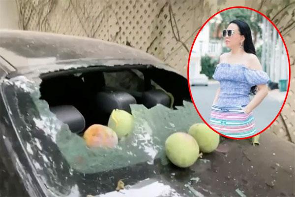 Tài xế đỗ xe dưới cây mít chín, tưởng được lộc ăn ai ngờ nhận kết đắng mề-7