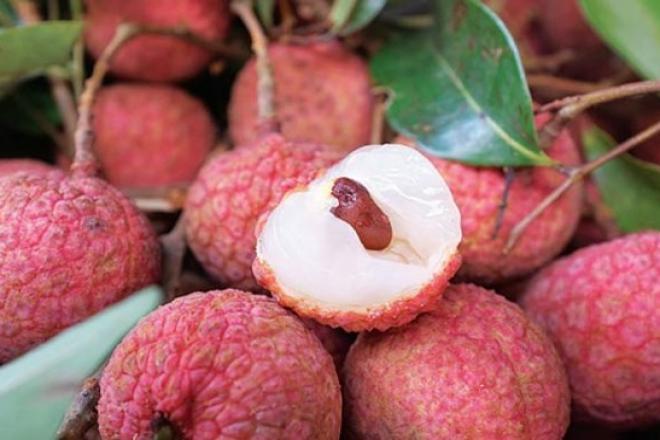 Quê hương của Tiến Linh, Văn Toàn có những món đặc sản tuyệt ngon nào?-8