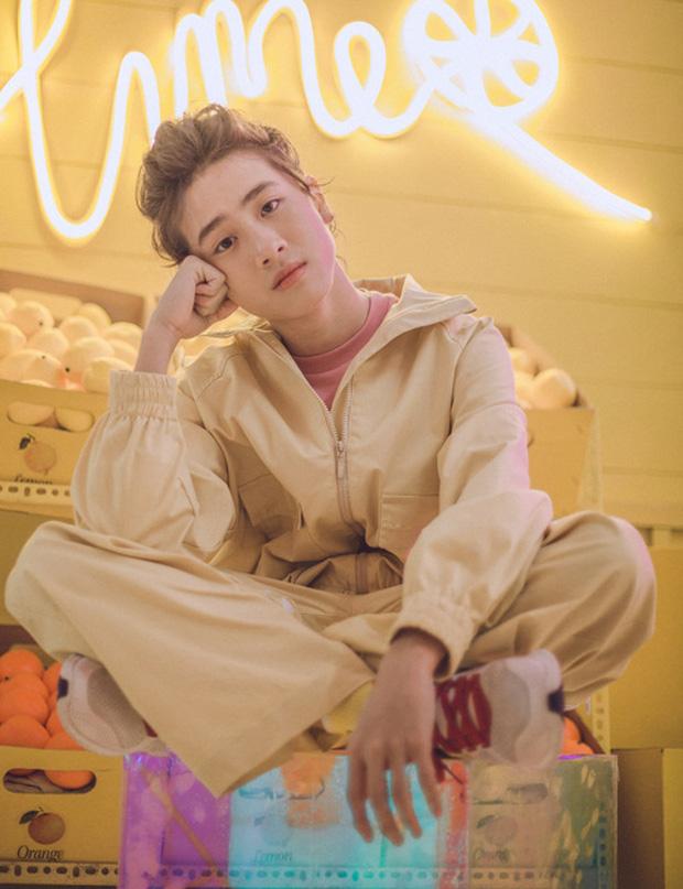 Dàn thí sinh Vietnam Idol Kids 2016: Người dính thị phi, người thành hot boy, kẻ lại mất hút-6