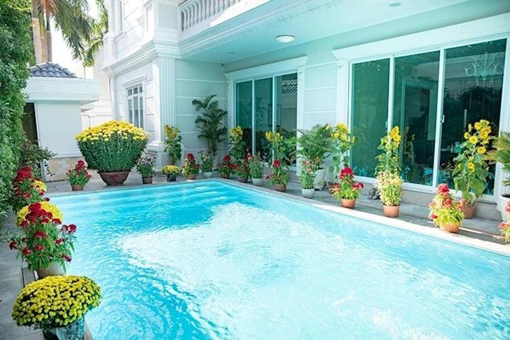 Xoài nhà Phượng Chanel to cỡ nào mà đập vỡ kính xe Mẹc dễ như bỡn?-9