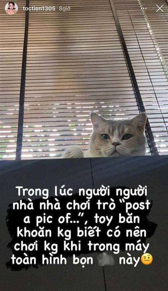 Tóc Tiên phát ngôn chửi tục công khai trên MXH, có đáng bị chỉ trích?-2