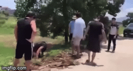 Clip: Lái xe ngang ngược lại đòi đánh người, tài xế bị đổ cả xô chất thải lên đầu-1