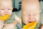 Biểu cảm 'khó đỡ' của con trai Hồ Ngọc Hà khi ăn phải đồ chua