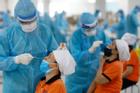 Ngày 19/6: Việt Nam có thêm 308 bệnh nhân COVID-19 mới