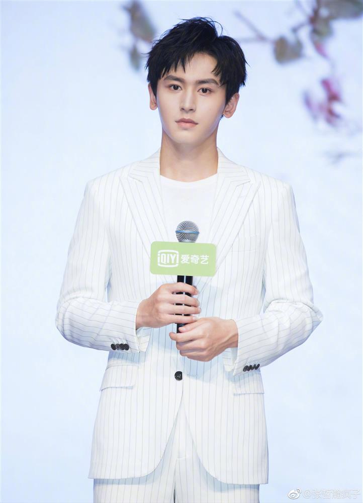 Triệu Lệ Dĩnh đóng bom tấn bên cạnh loạt trai đẹp đình đám-2