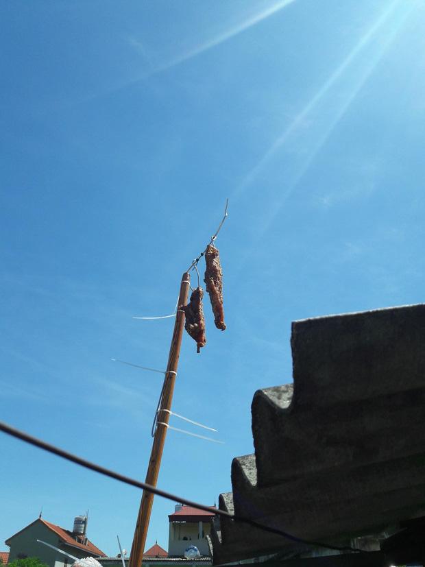 Sấy vải kiểu IQ vô cực và loạt món ăn một nắng bá đạo của dân mạng-4