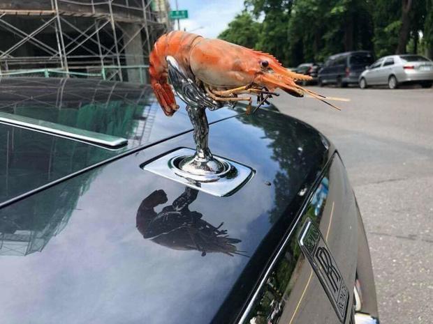 Sấy vải kiểu IQ vô cực và loạt món ăn một nắng bá đạo của dân mạng-5