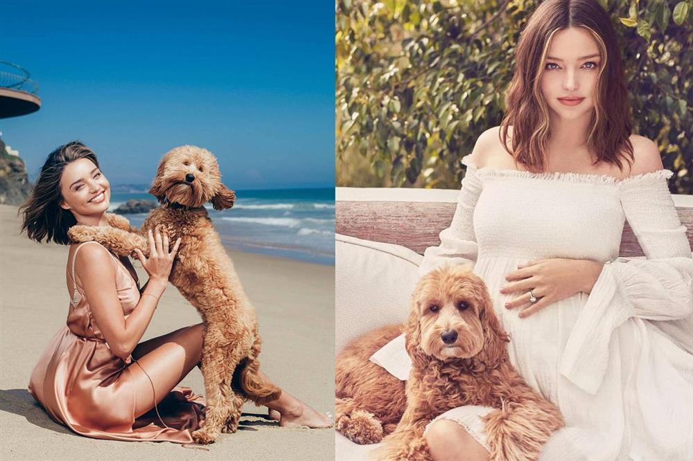 Cuộc sống xa hoa của những thú cưng giàu nhất hành tinh-11