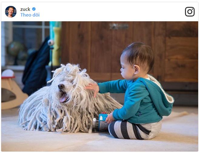 Cuộc sống xa hoa của những thú cưng giàu nhất hành tinh-13