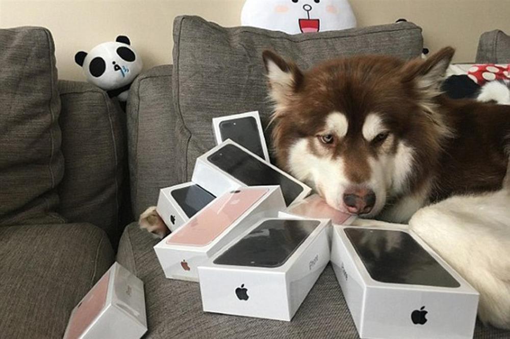 Cuộc sống xa hoa của những thú cưng giàu nhất hành tinh-19